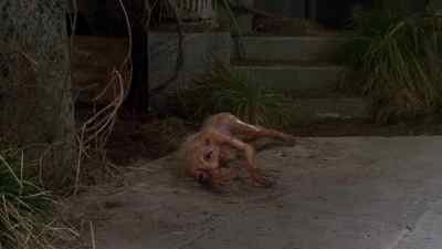 Bring her. Please, bring her. - Nightbreed