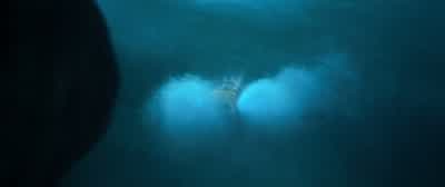 Bring her to me. - The Meg