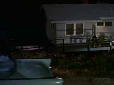 Bringing a broad to a place
like this, that's one thing, - Gidget