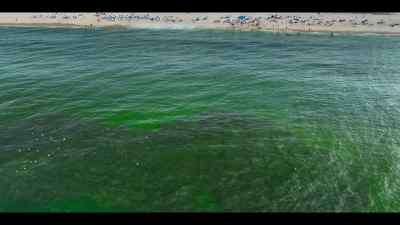 Bringing a new spectacle - Our Oceans