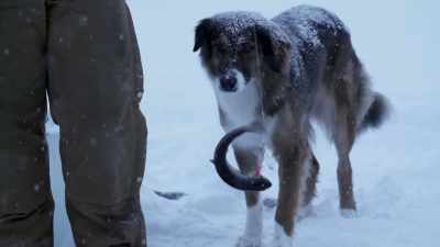 BRITTANY: I got it.
This is really fantastic. - Life Below Zero: Next Generation