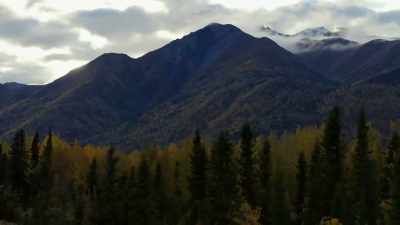 BRITTANY: Living out here in
McCarthy it's not super easy - Life Below Zero: Next Generation