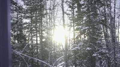 BRITTANY: You want
to live out here, - Life Below Zero: Next Generation