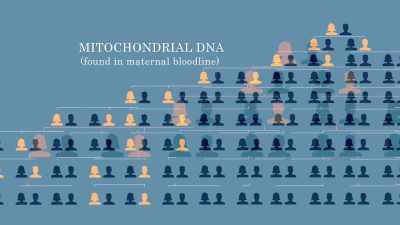 Broad: THE MITOCHONDRIAL MATCH, - Children of the Snow
