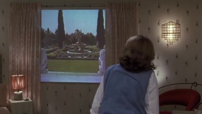 Broadcasting beautiful views 24 hours a day - Back to the Future Part II