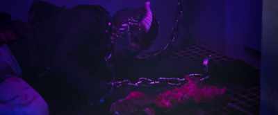 (Brocheet growls) - Alien Planet