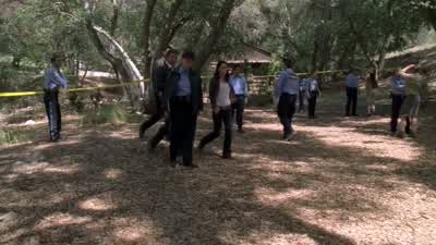 BRODY: Name's Justin Prentiss. - The Mentalist