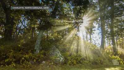  [brooding music] - Rifkin on Rifkin: Private Confessions of a Serial Killer