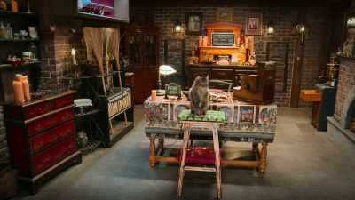 Brooms, potions,
wands, crystals, you name it! - Scaredy Cats
