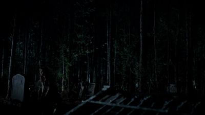 '"Brother and friend"? - The Vampire Diaries