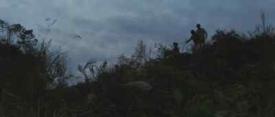 Brother, it's Godzilla! - Godzilla