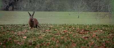 Brothers, sisters, daughters
and sons. - Jeepers Creepers III