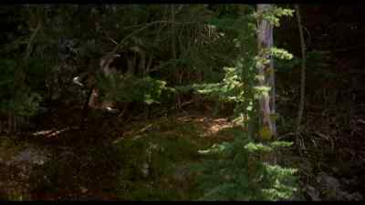 Brrrr I think I shrank in there - Homeward Bound: The Incredible Journey