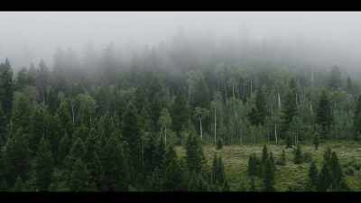[Bruce] If it is true that consciousness
is not solely dependent on the brain... - Surviving Death