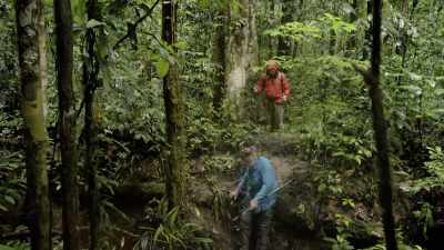 Bruce is, you know, just moving
more slowly than we all anticipated. - Explorer: The Last Tepui