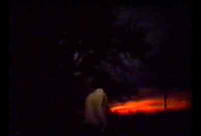 Bruce! - Within the Woods