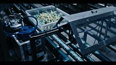 [BRUCE] The chicks,
after they've hatched at the hatchery, - Poisoned: The Dirty Truth About Your Food