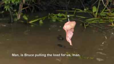    Bruce, with his experience
        and his know-how, - Swamp People