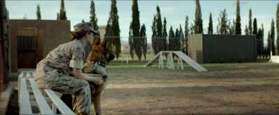 Bruno up, Bruno,
Bruno, here boy. - Megan Leavey