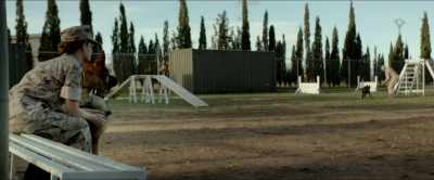 Bruno, up, Bruno, Bruno. - Megan Leavey