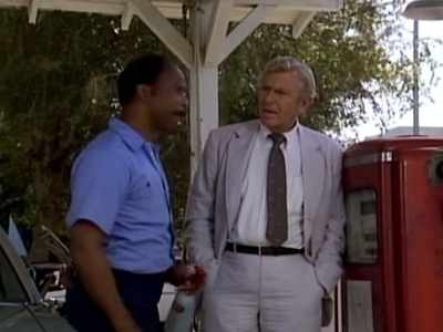 Bruno's behavior fits a pattern
of authoritarian parenting - Matlock