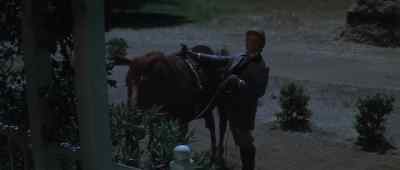 Brushing up on my Spanish. - There Was a Crooked Man