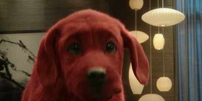 [Brutus yelping] - Clifford the Big Red Dog