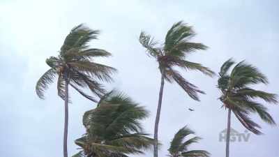 Bryan: After Hurricane Dorian
went through the Bahamas - Island of Bryan