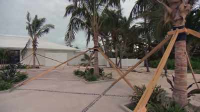 Bryan: Mother nature
has taught us a few - Island of Bryan