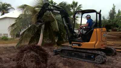 Bryan: Moving this tree was
a little more challenging - Island of Bryan