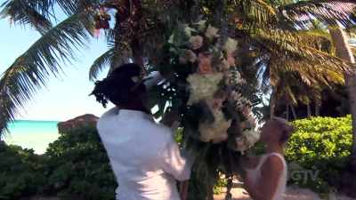 Bryan: Not because I
don't like weddings, - Island of Bryan