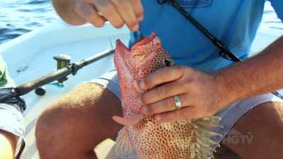 Bryan: Remove the hook, - Island of Bryan