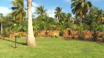 Bryan: The entire
area has transformed, - Island of Bryan