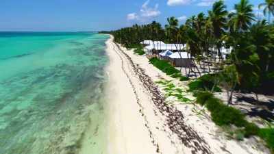 Bryan: We're feeling
optimistic and motivated, - Island of Bryan