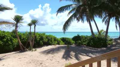 Bryan: You know what's
crazy is right now - Island of Bryan