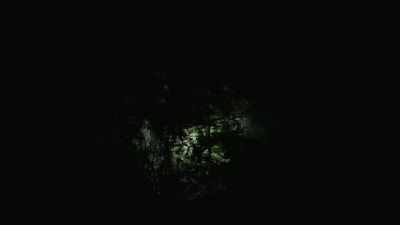 [Bryce] I don't know,
but it didn't come out - Expedition Bigfoot