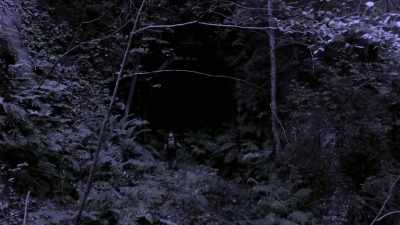 [Bryce]  It wasn't
 too long after that - Expedition Bigfoot
