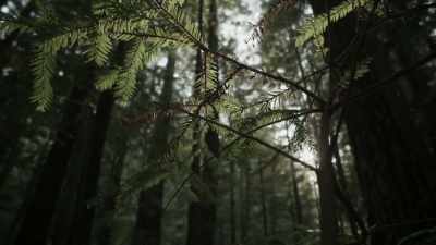 [Bryce]  Near the area
 where they spotted - Expedition Bigfoot