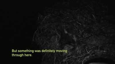 [Bryce speaking] - Expedition Bigfoot
