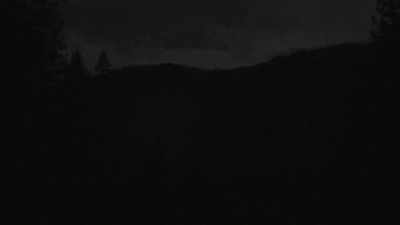 [Bryce]
There's definitely
an eerie silence - Expedition Bigfoot