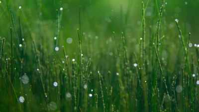 ..bubbles of gas appear. - The Green Planet