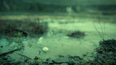 [bubbling] - Vagrant Queen