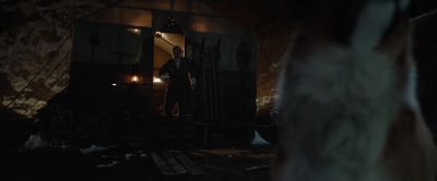 Buck? What are you doing? - The Call of the Wild