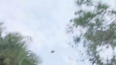 (buckets and hubcap clattering) - Hubcap