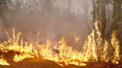Buckeye IC, - Fire Country