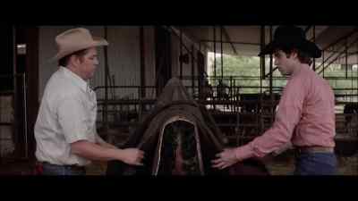 BUD, IN SOME WAYS, - Urban Cowboy