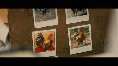Bud, it's a winner.
It's a winner. - All Creatures Here Below