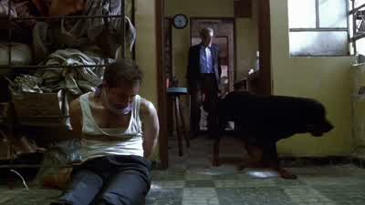 Buenos días. - Amores Perros