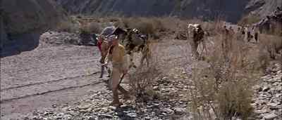 Buff, rojas, come out here. - Shalako