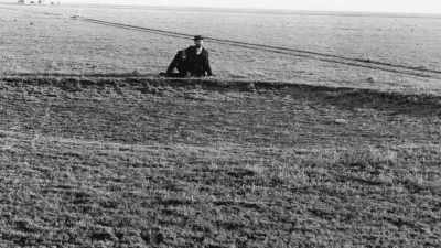 Buffalo wallows--where vital
rainwater had once pooled-- - The American Buffalo